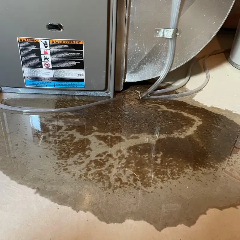 Appliance Leak Cleanup in Tallassee, AL